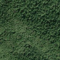 Satellite imagery of Timber Ridge, US