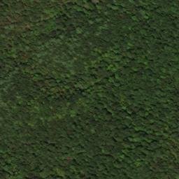 Satellite imagery of Clear Ridge, US
