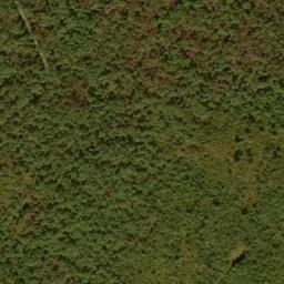 Satellite imagery of Green Ridge, US