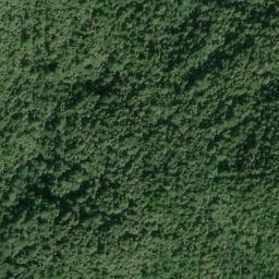 Satellite imagery of Timber Ridge, US