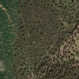 Satellite imagery of survey_point, PT