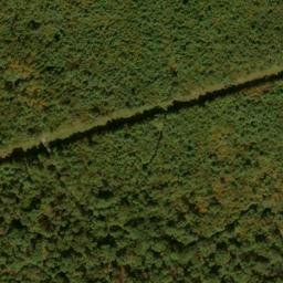 Satellite imagery of Sandy Ridge, US