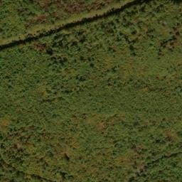Satellite imagery of Sandy Ridge, US