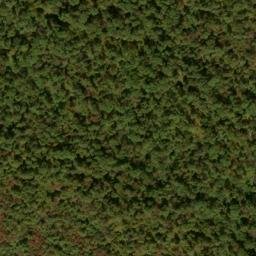 Satellite imagery of Sandy Ridge, US