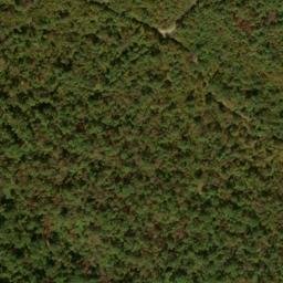 Satellite imagery of Sandy Ridge, US