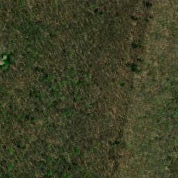 Satellite imagery of Buck Ridge, US