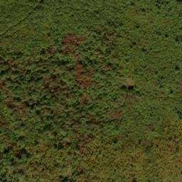 Satellite imagery of Sandy Ridge, US