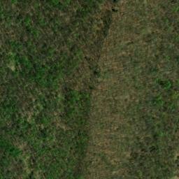 Satellite imagery of Buck Ridge, US