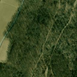 Satellite imagery of Dickeys Mountain, US
