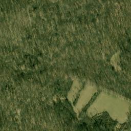 Satellite imagery of Dickeys Mountain, US