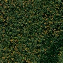 Satellite imagery of Cove Mountain, US