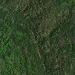 Satellite imagery of Cane Ridge, US