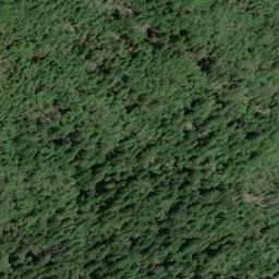 Satellite imagery of Elkhorn Ridge, US
