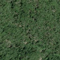 Satellite imagery of Elkhorn Ridge, US