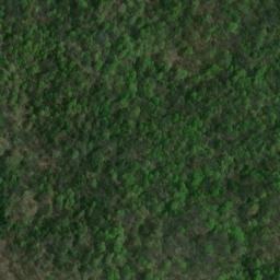 Satellite imagery of Yellow Ridge, US