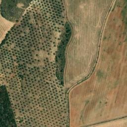 Satellite imagery of survey_point, ES