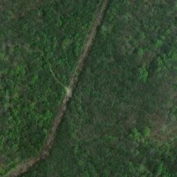 Satellite imagery of Yellow Ridge, US