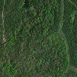 Satellite imagery of Cane Ridge, US