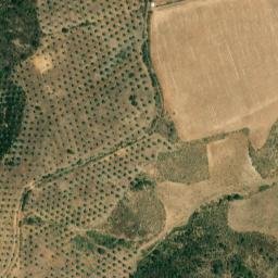 Satellite imagery of survey_point, ES