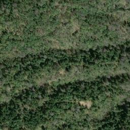 Satellite imagery of Dingman Ridge, US