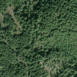 Satellite imagery of Williams Point, US