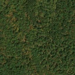 Satellite imagery of Black Oak Ridge, US