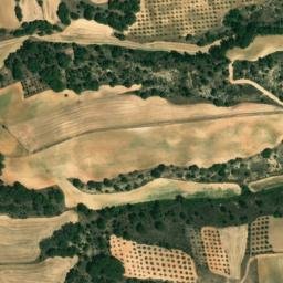 Satellite imagery of survey_point, ES