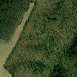 Satellite imagery of Piney Ridge, US