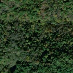Satellite imagery of Clover Ridge, US