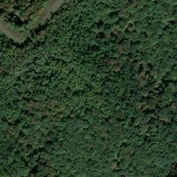 Satellite imagery of Rice Ridge, US