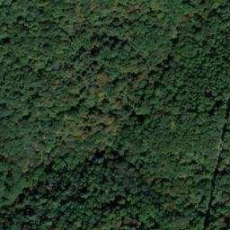 Satellite imagery of Rice Ridge, US