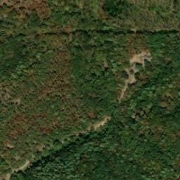 Satellite imagery of Buck Ridge, US