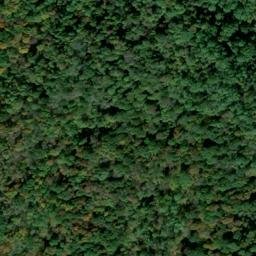 Satellite imagery of Clover Ridge, US