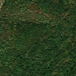 Satellite imagery of Buck Ridge, US