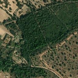 Satellite imagery of survey_point, PT