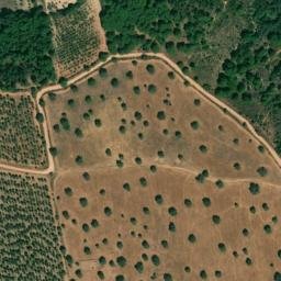 Satellite imagery of survey_point, PT