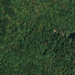 Satellite imagery of Dunkard Ridge, US
