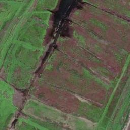 Satellite imagery of Pigeon Point, US