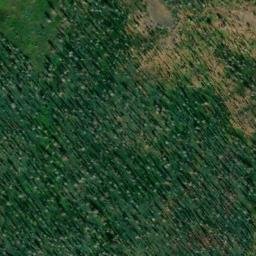 Satellite imagery of Lumpkin Ridge, US