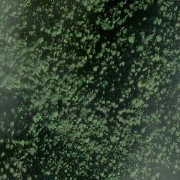 Satellite imagery of Alviso Ridge, US