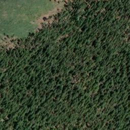 Satellite imagery of Gardners Point, US