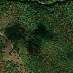 Satellite imagery of Whittaker Ridge, US