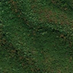 Satellite imagery of Whittaker Ridge, US