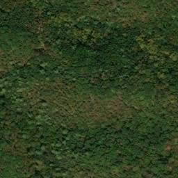 Satellite imagery of Green Ridge, US