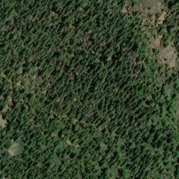 Satellite imagery of Gardners Point, US