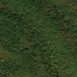 Satellite imagery of Whittaker Ridge, US