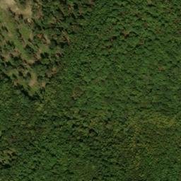 Satellite imagery of Bush Ridge, US