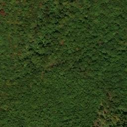Satellite imagery of Bush Ridge, US