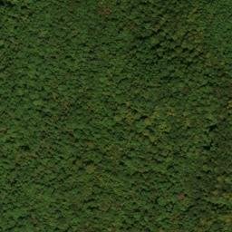 Satellite imagery of Bush Ridge, US