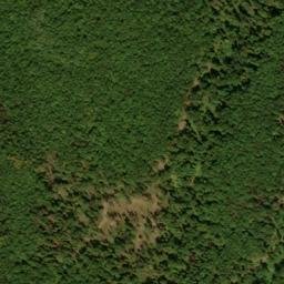Satellite imagery of Bush Ridge, US